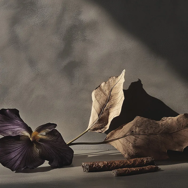 royal tobacco oud Opus XIV